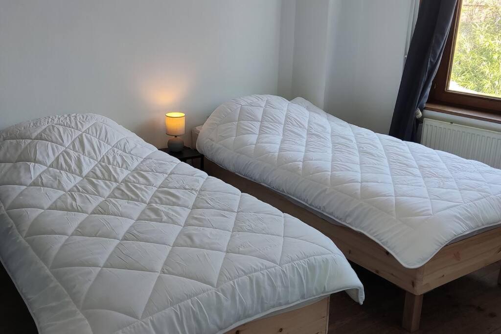 Maison Ronchin/Lille - Proche Toutes Commodites Exterior foto